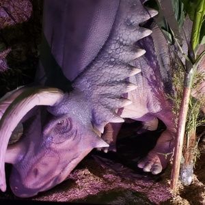 Meet your Posher, Misti